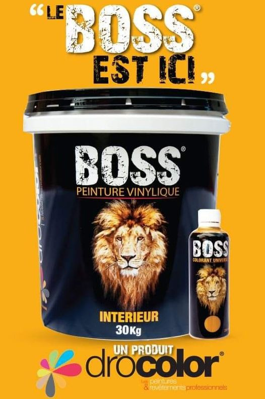 PEINTURE VINYLIQUE - BOSS